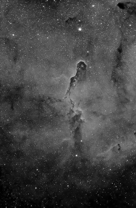 Image of the Elephant Trunk Nebula